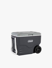 3300-C2M8095890-2