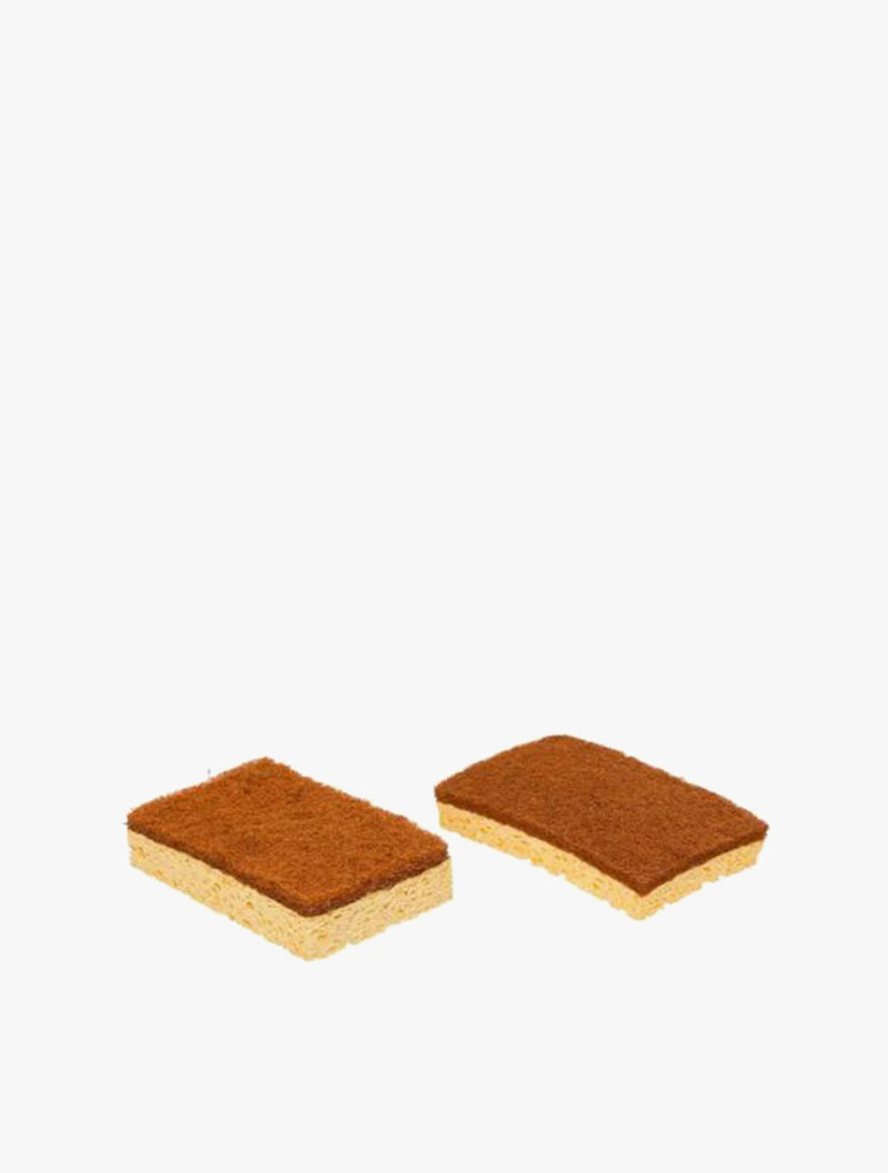 5FIVE COCONUT FIBRE SPONGES BLACKWOOD 2S