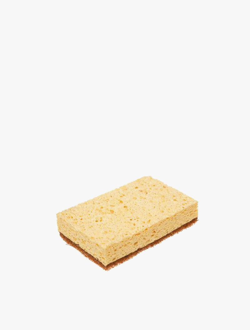 5FIVE COCONUT FIBRE SPONGES BLACKWOOD 2S