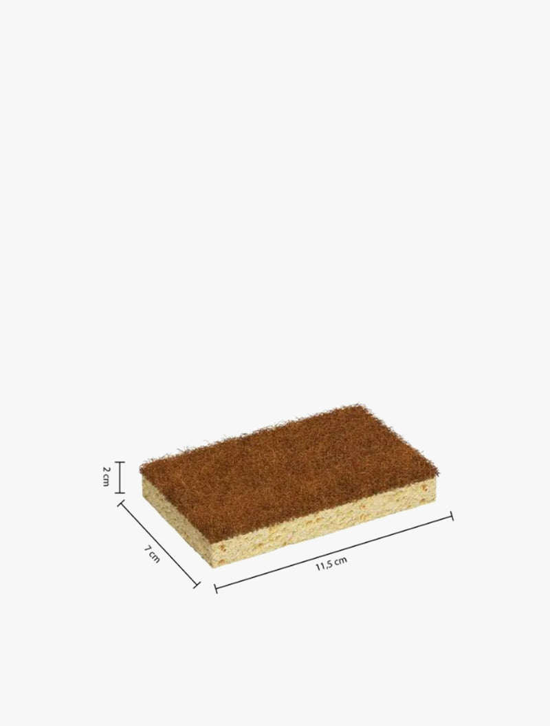 5FIVE COCONUT FIBRE SPONGES BLACKWOOD 2S